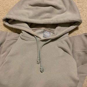 Aritzia TNA Cozy Fleece Boyfriend hoodie in colour Storm Dusky Green